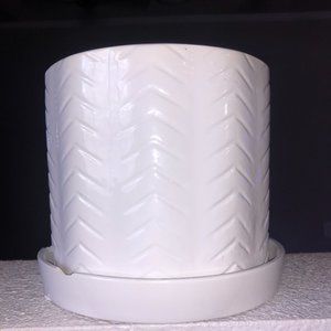 Modern home garden pot ; white with watering tray